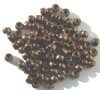 100 4x6mm Crow Beads Dark Bronze